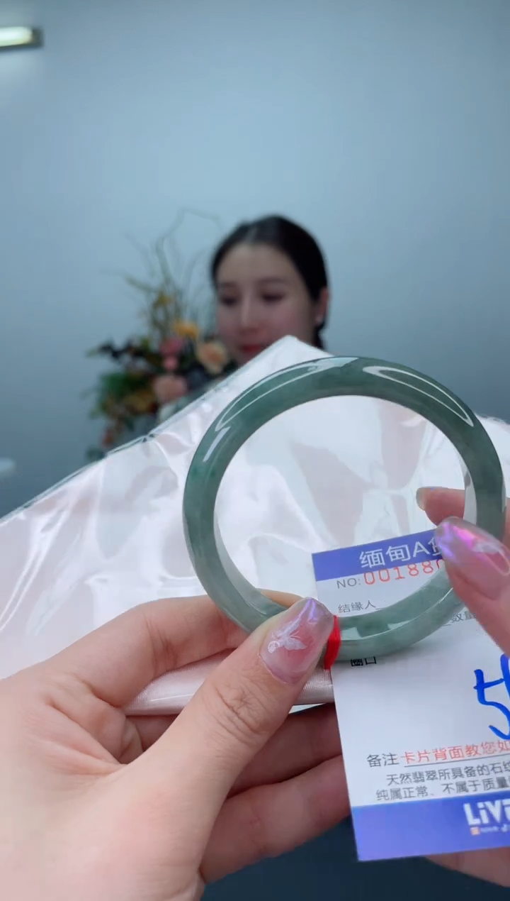 未镶嵌手镯翡翠2