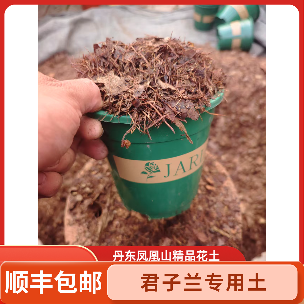 君子兰专用腐叶松针加碳粒微潮营养土适合养花种菜