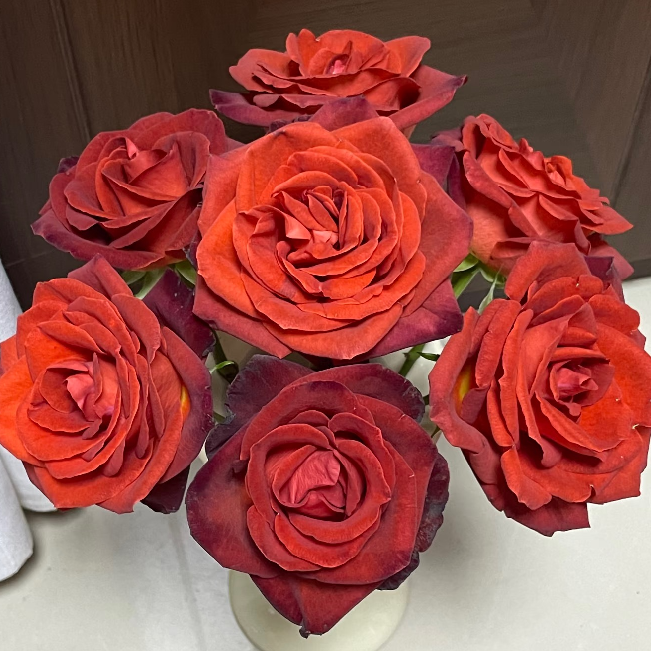 奈斯园艺 咖啡馆/咖啡德玛 复古高杯直立切花玫瑰花苗灌木月季