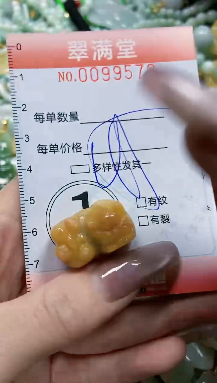 【闪购商品】翡翠颈饰未镶嵌闪购0099578