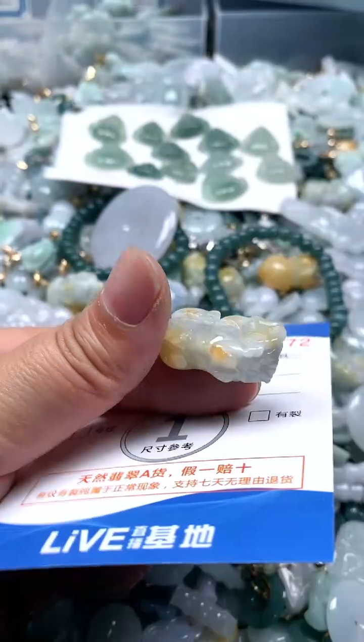 【闪购商品】翡翠颈饰未镶嵌闪购商品0119872