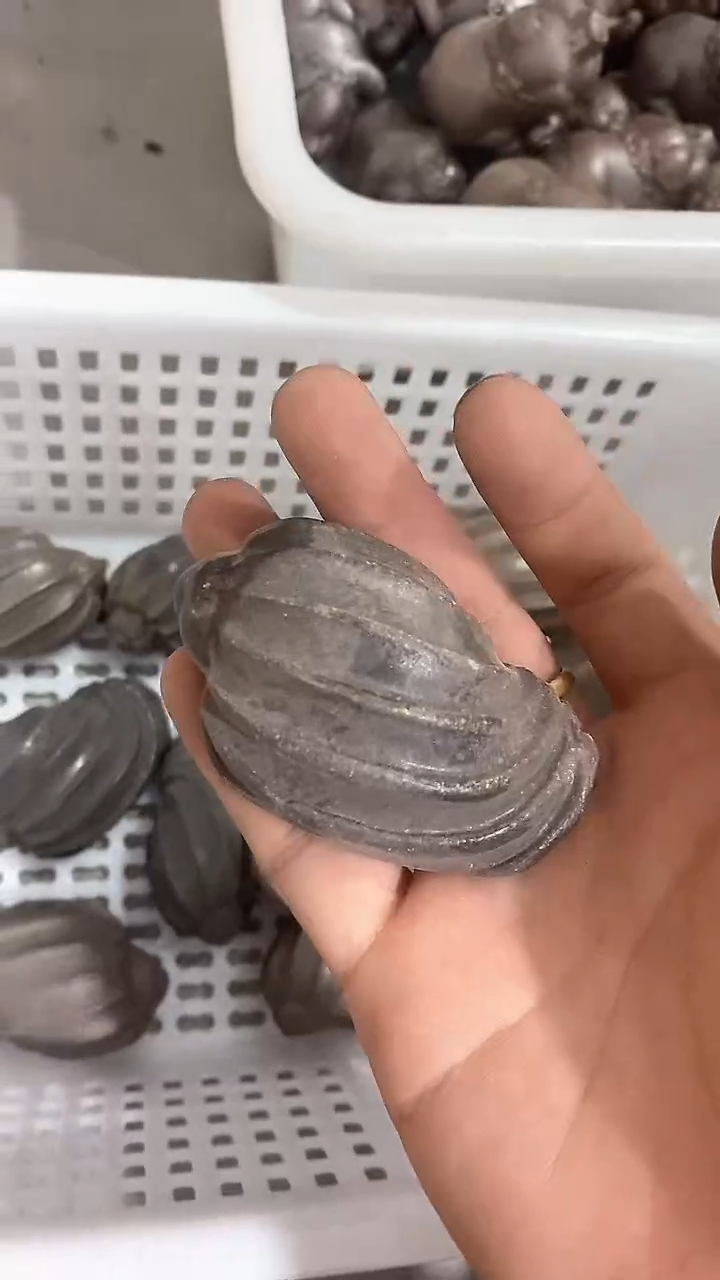 瓷片陶瓷茶具茶器