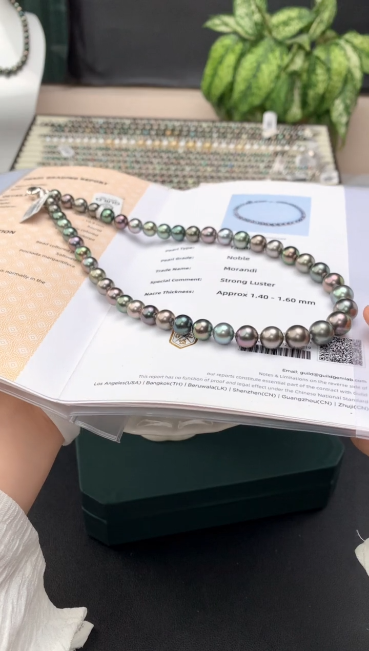 【闪购商品】海水珍珠项链银S925镶嵌海水大溪地珍珠项链 8-11