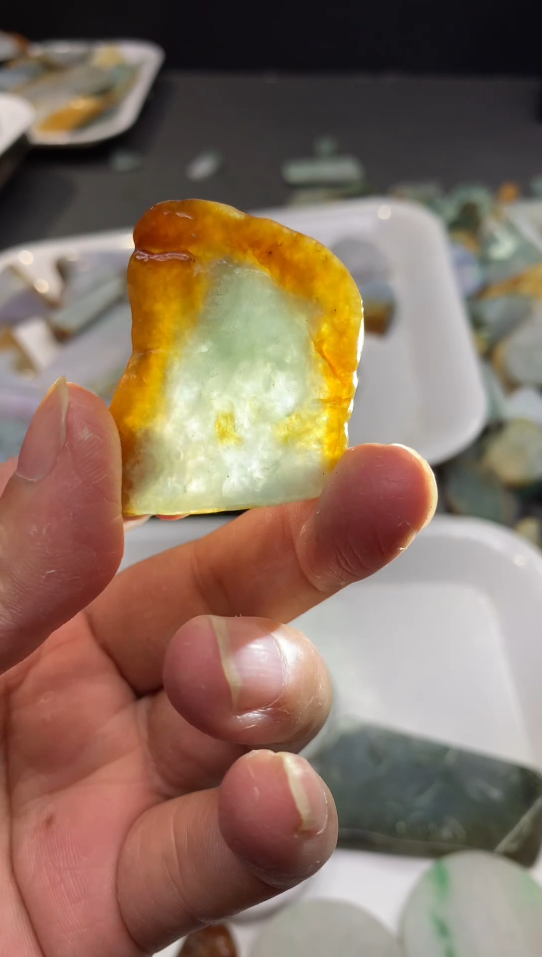 【闪购商品】翡翠颈饰未镶嵌天然翡翠A货