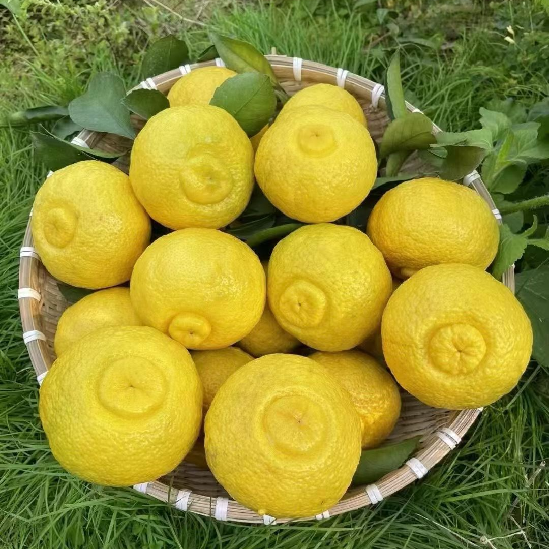 【礼盒包装】贵州村超高山黄金柚新鲜应季水果香甜多汁产地直发