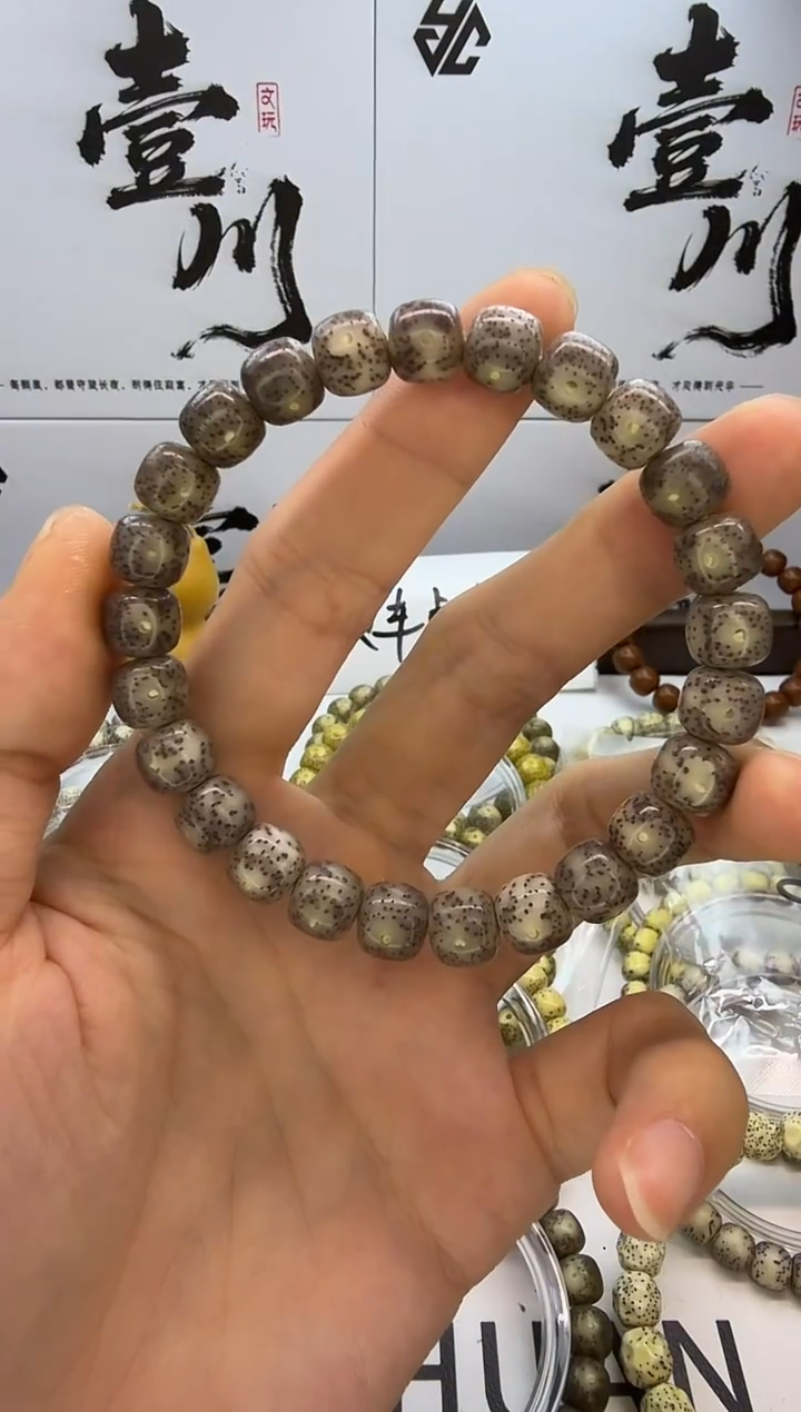 手串星月菩提9/8 黑冰糖玉化  同枝果 SS6