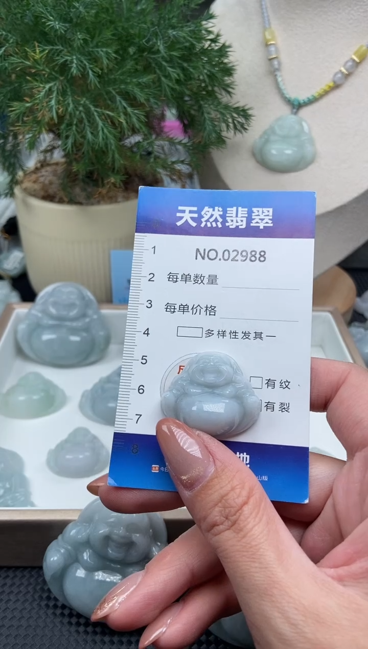 颈饰未镶嵌翡翠纯天然A货翡翠2988