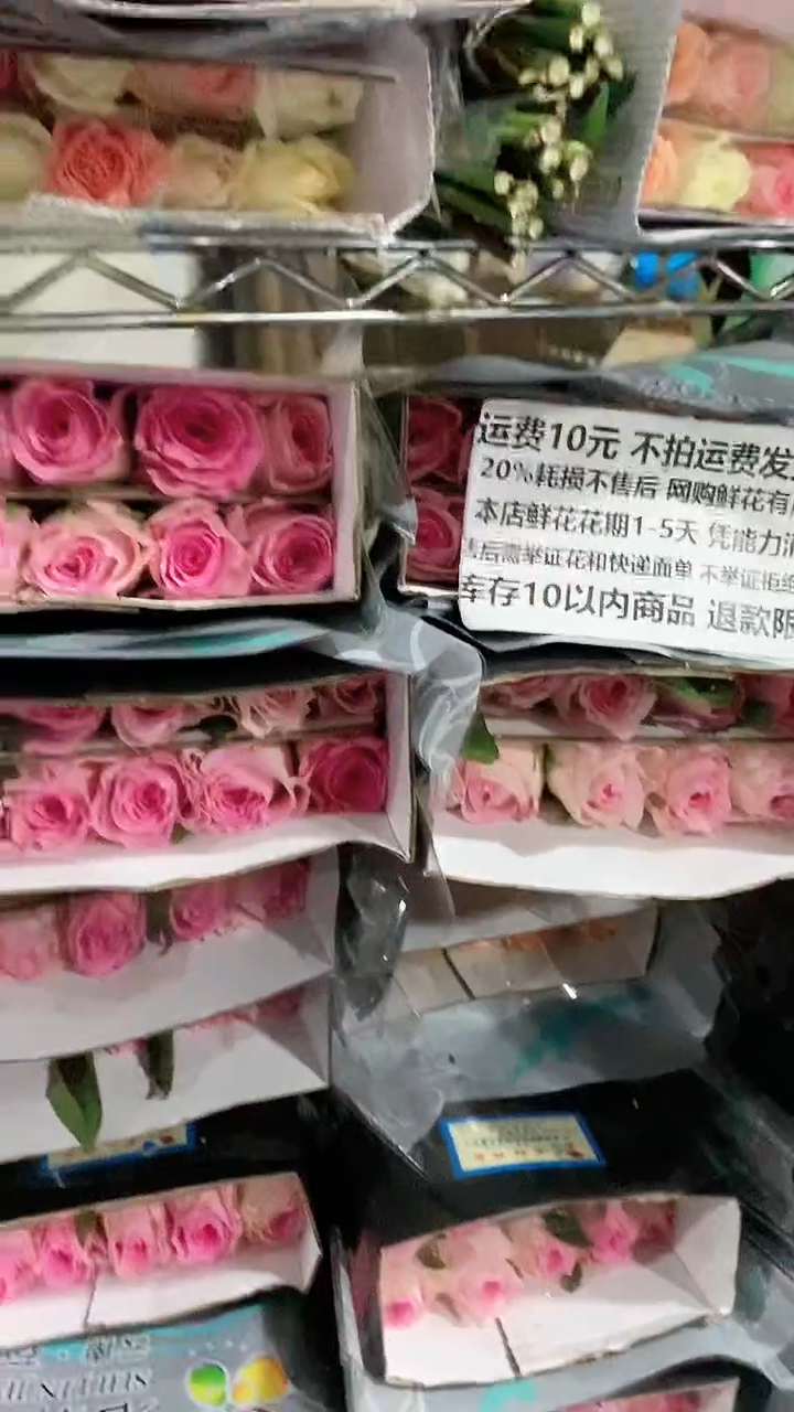 A3-2  洛神10支 20%耗损