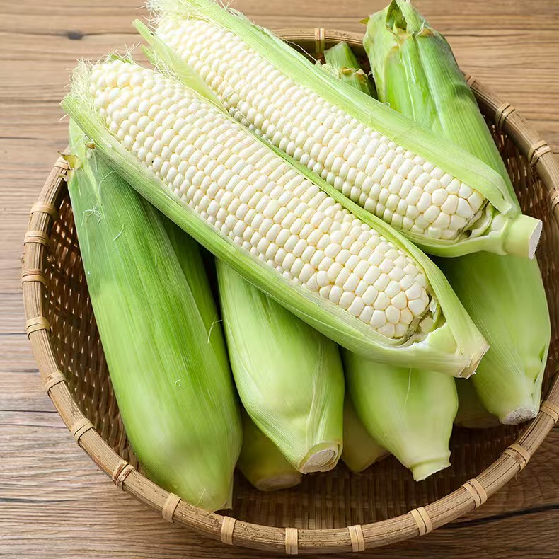 阿欢【坏果包赔】云南白糯玉米带壳发货5斤