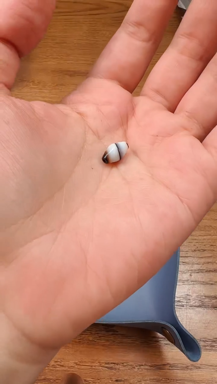 【闪购商品】树脂制品【 肖钟出品 】