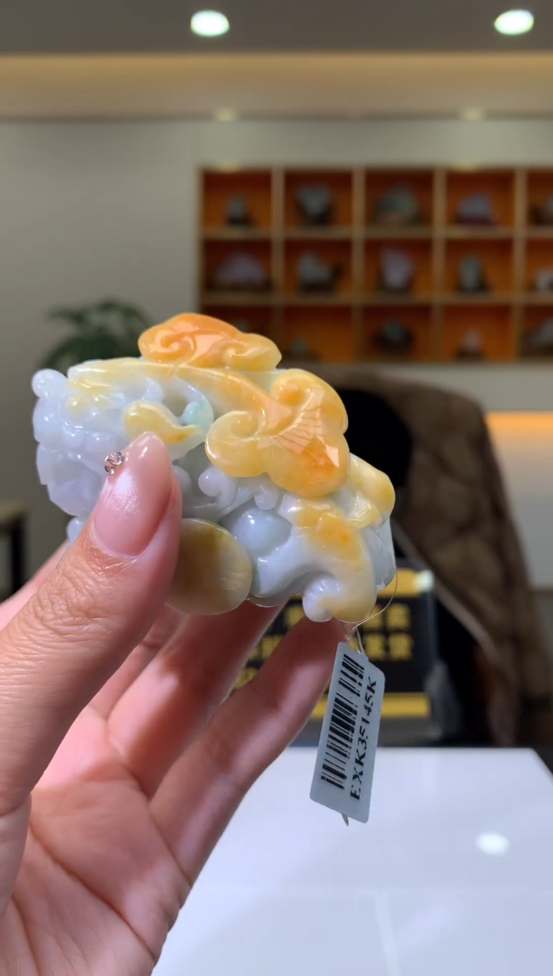 颈饰未镶嵌翡翠X-@@BSGG0102117多样性发一