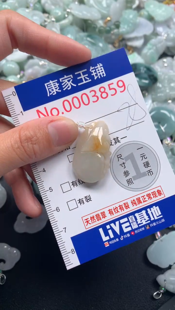 颈饰未镶嵌翡翠3859