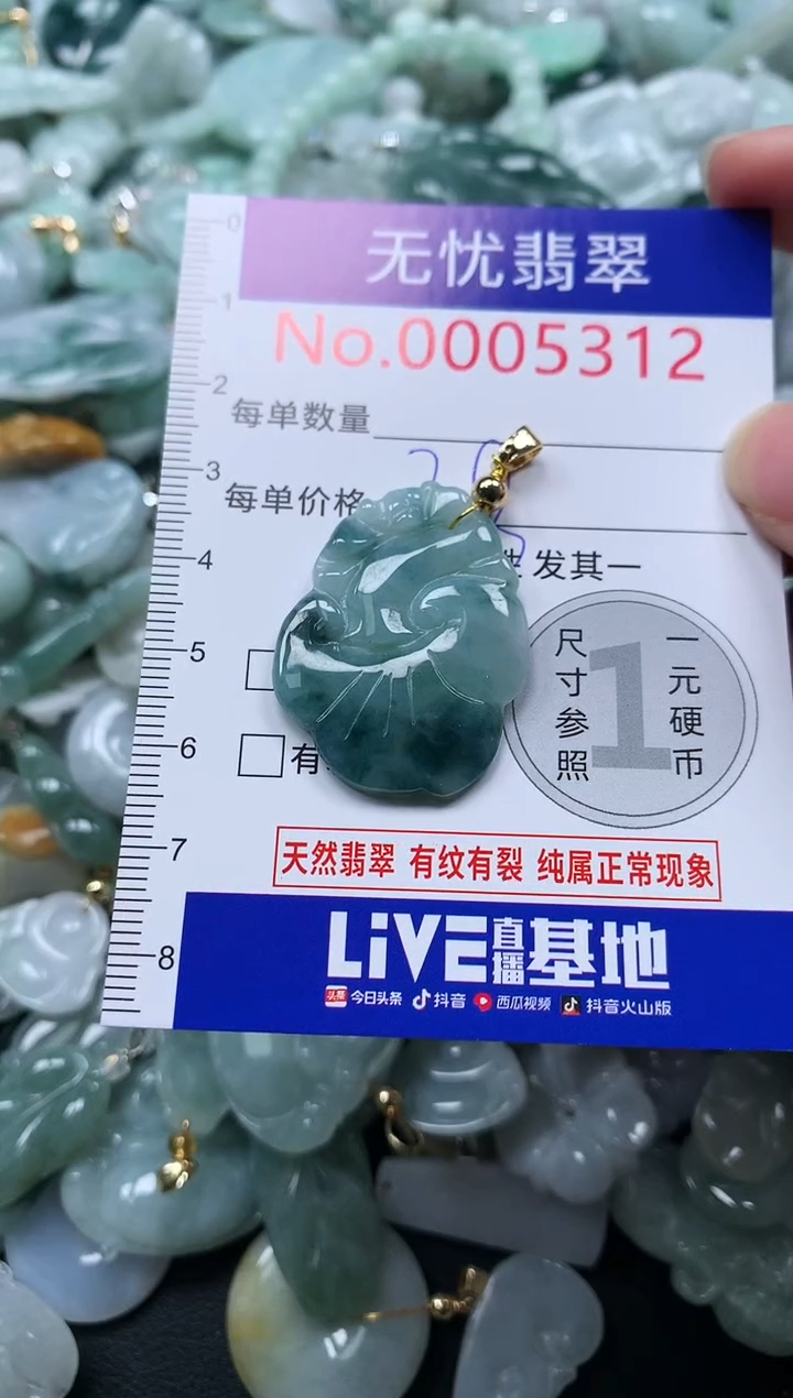 颈饰未镶嵌翡翠5312