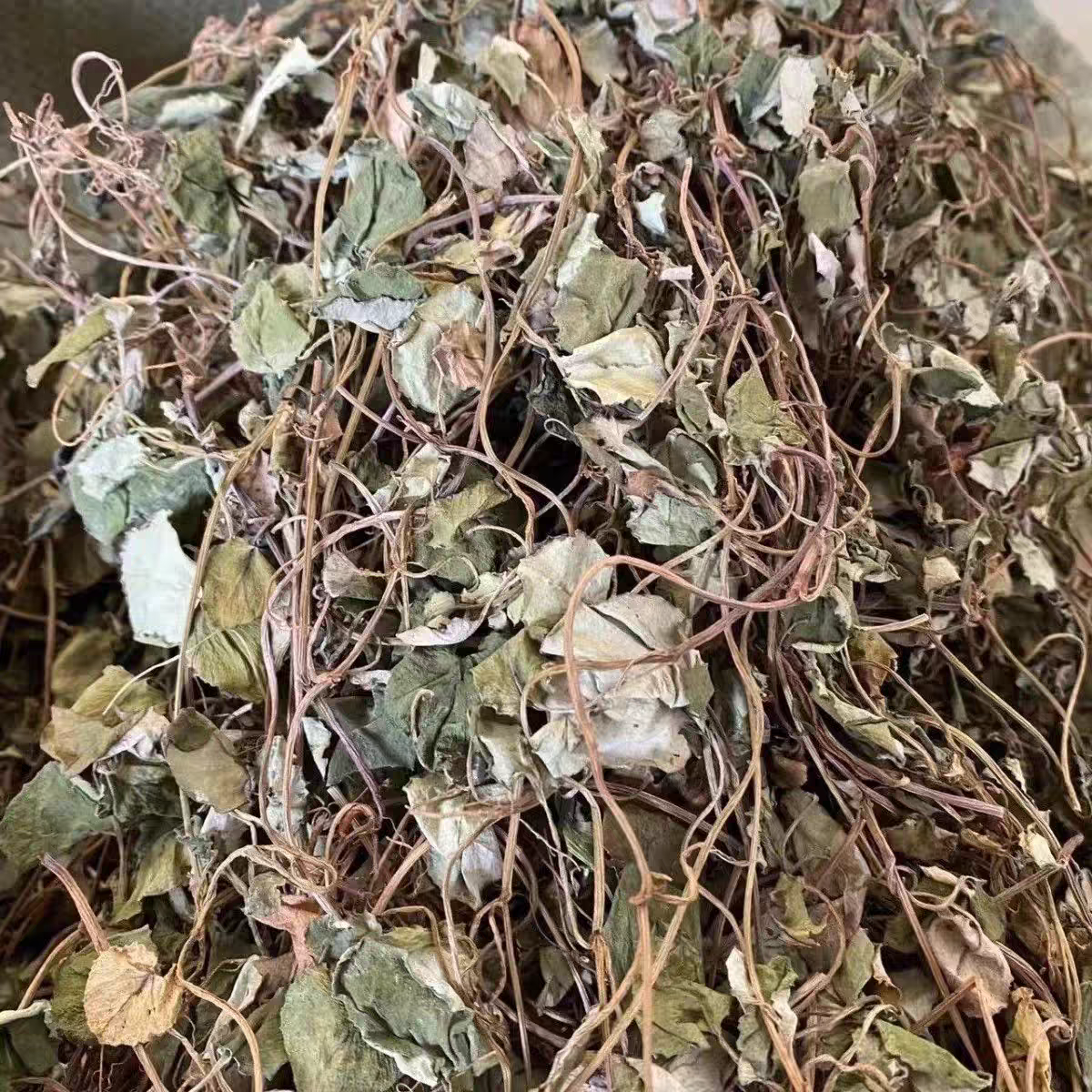 正宗贵州野生小叶金钱草中草药新鲜干货中药材野生过路黄泡水喝