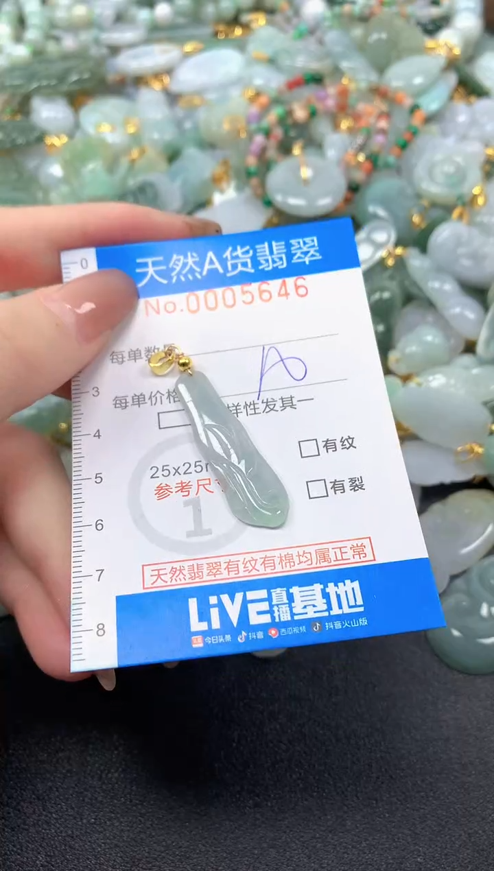 颈饰未镶嵌翡翠净货挂件-5646