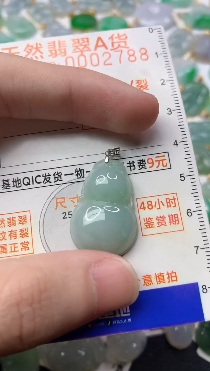 【闪购商品】翡翠颈饰18K金镶嵌1.............