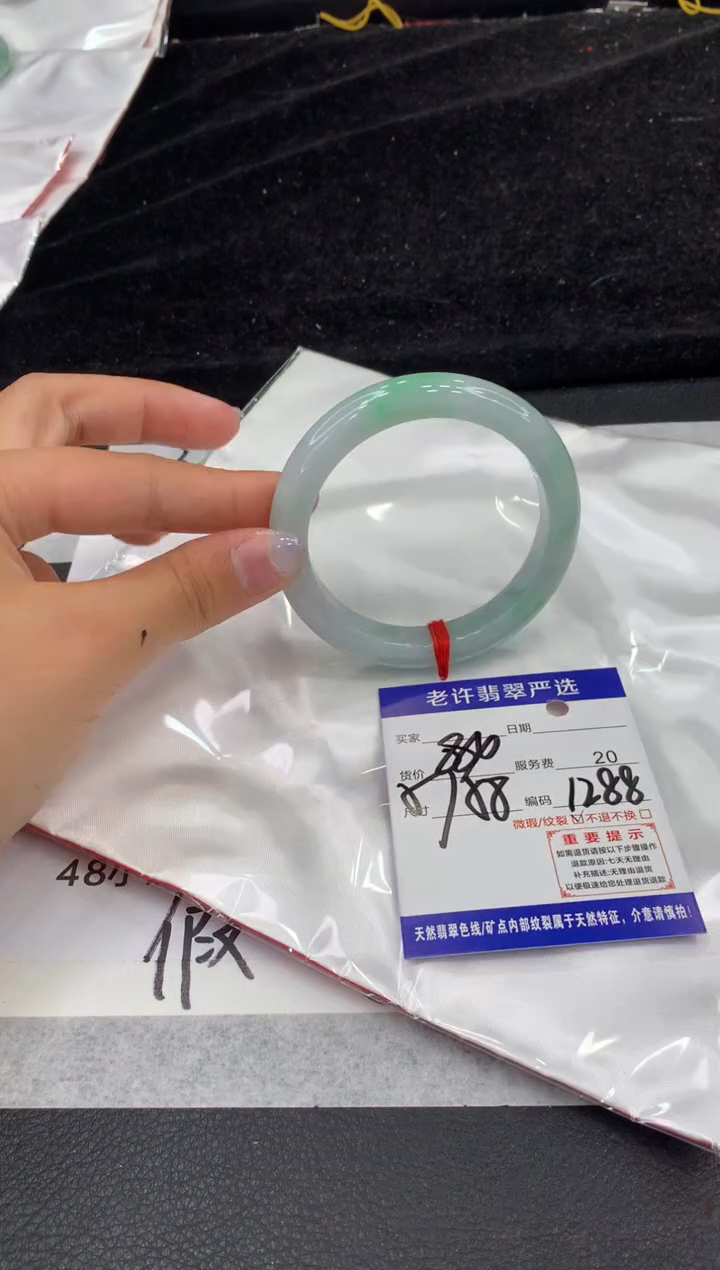 未镶嵌手镯翡翠1