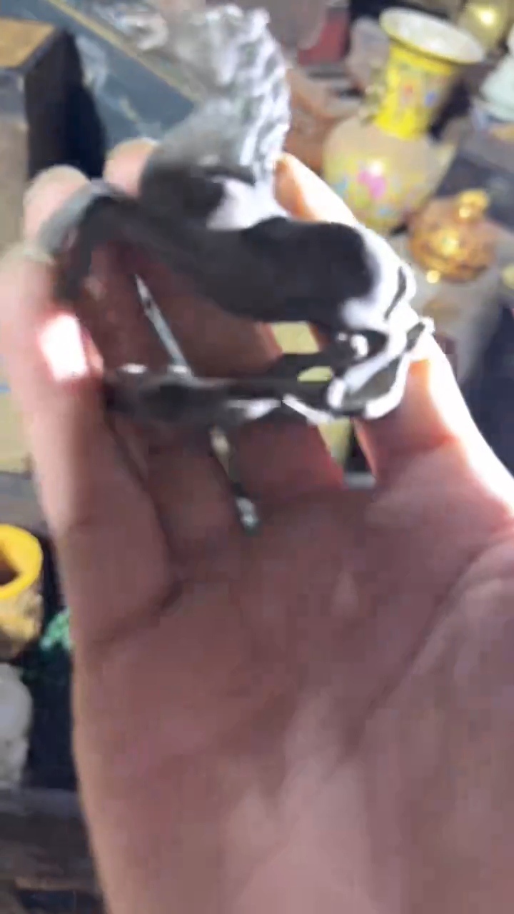 香榧木1个小小雨链接1号