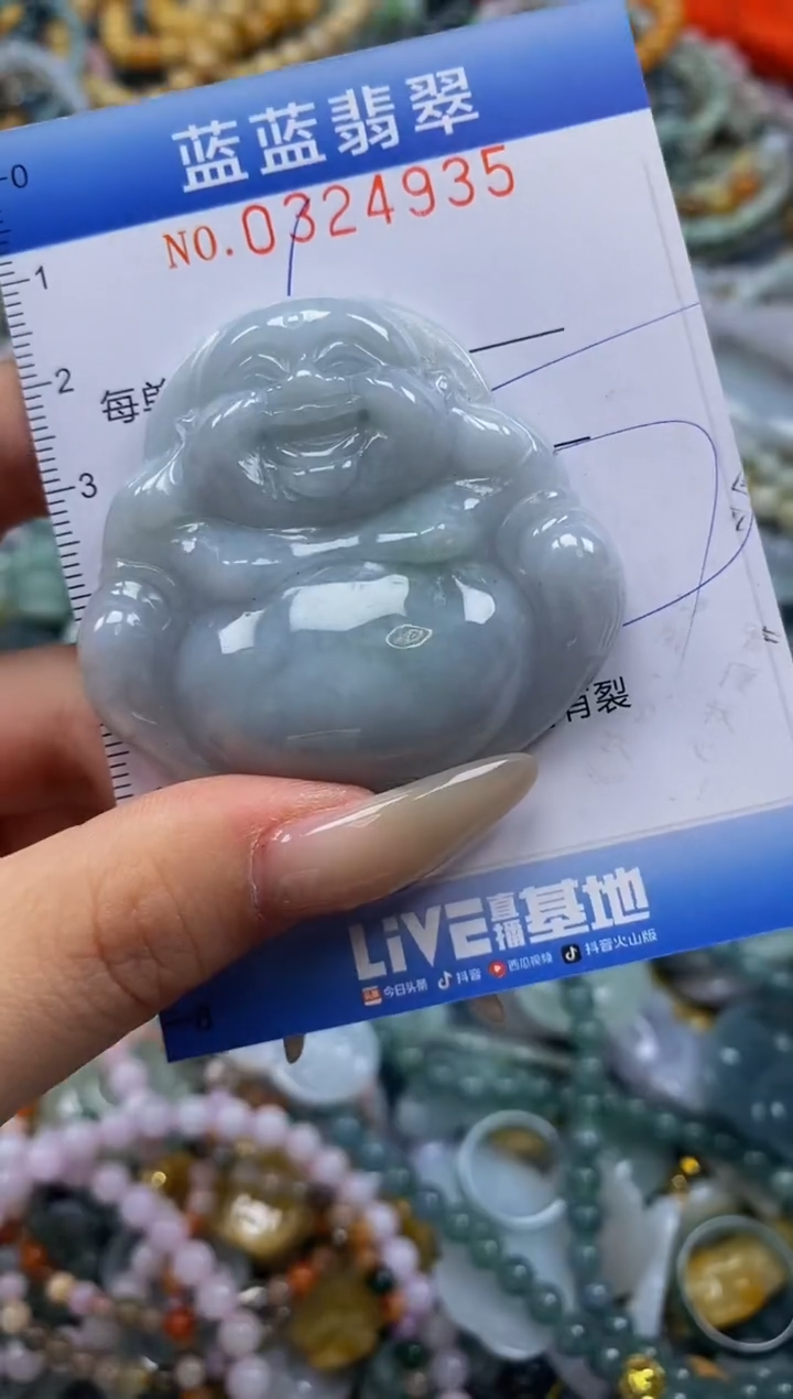 翡翠未镶嵌颈饰闪购0324935