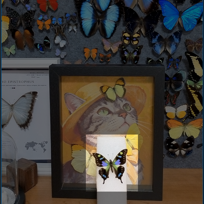 A-玫瑰青凤蝶不带框