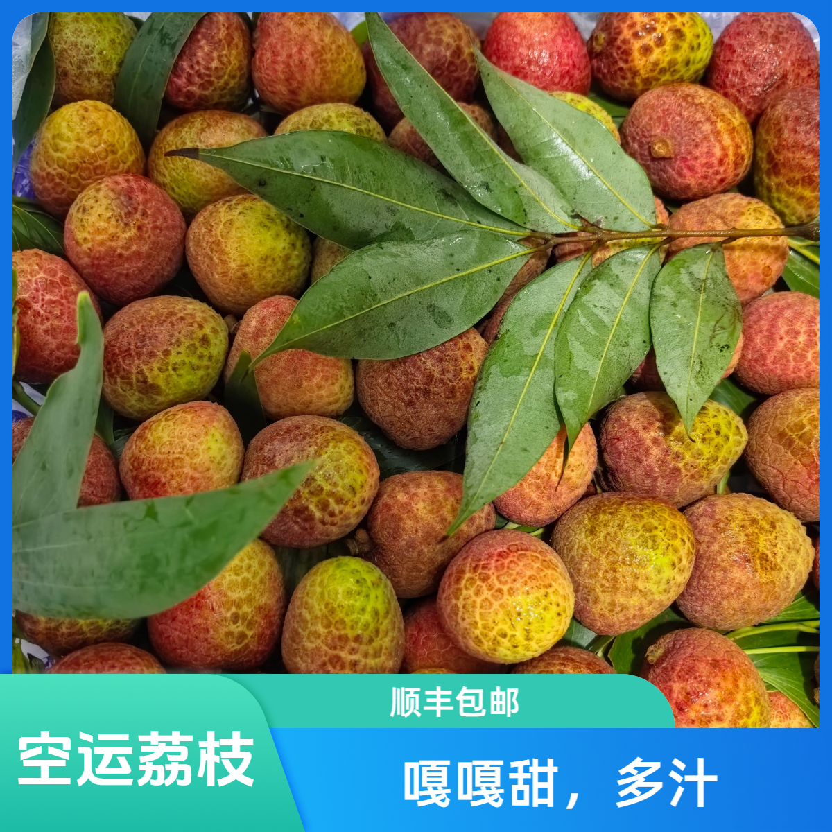 【特价】空运桂花香荔枝1斤-2斤装顺丰包邮送到家新鲜海南省