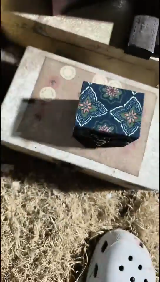 香榧木1个小蓝小盒子7金圆