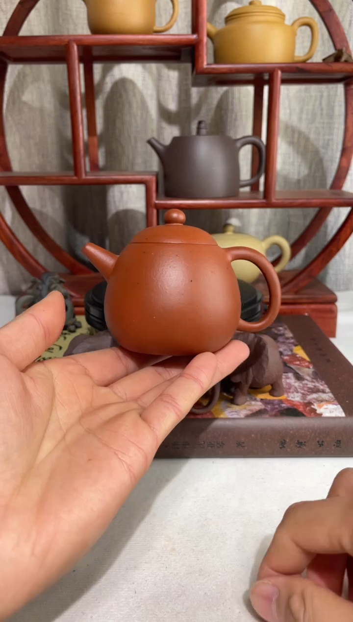 【闪购商品】紫砂茶壶全手小煤窑朱泥手工泥龙旦