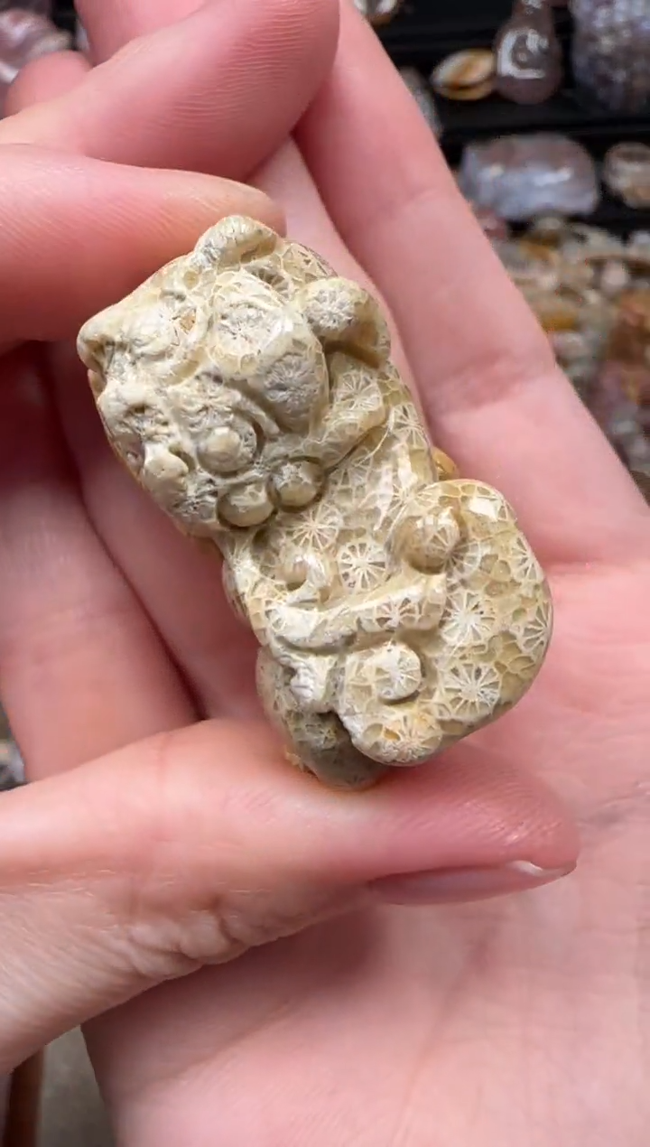 颈饰未镶嵌硅化珊瑚（珊瑚玉）864