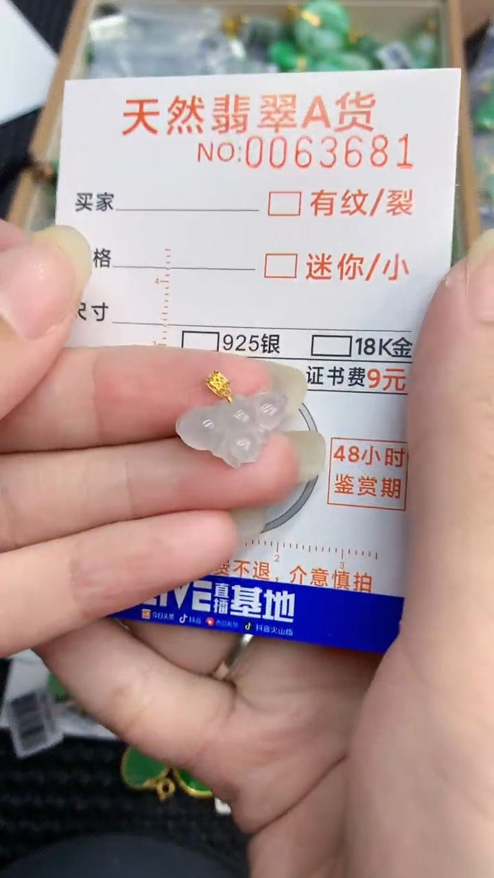 【闪购商品】翡翠颈饰18K金镶嵌            8