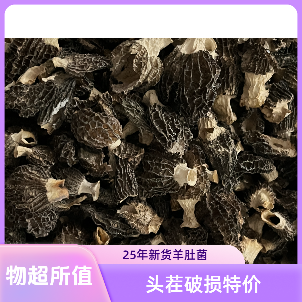 【25年新货】头茬肉厚破损六妹羊肚菌有碎片直播间看货下单介意勿拍