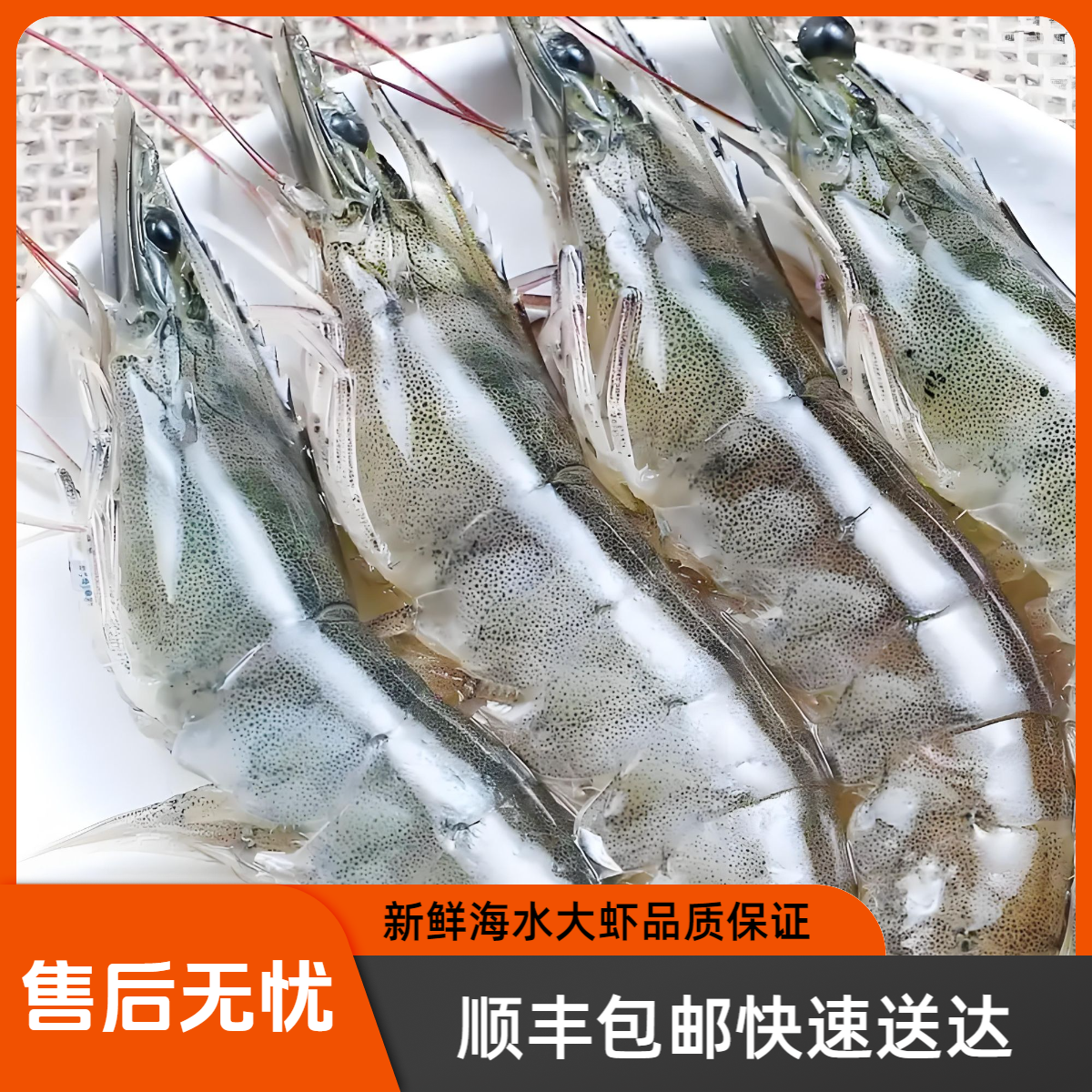 【顺丰包邮】新鲜海水虾鲜活速冻35-40只/斤