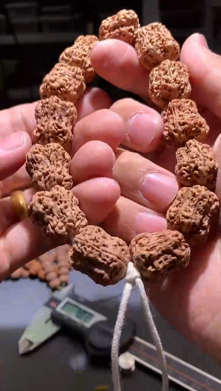 金刚菩提手串872