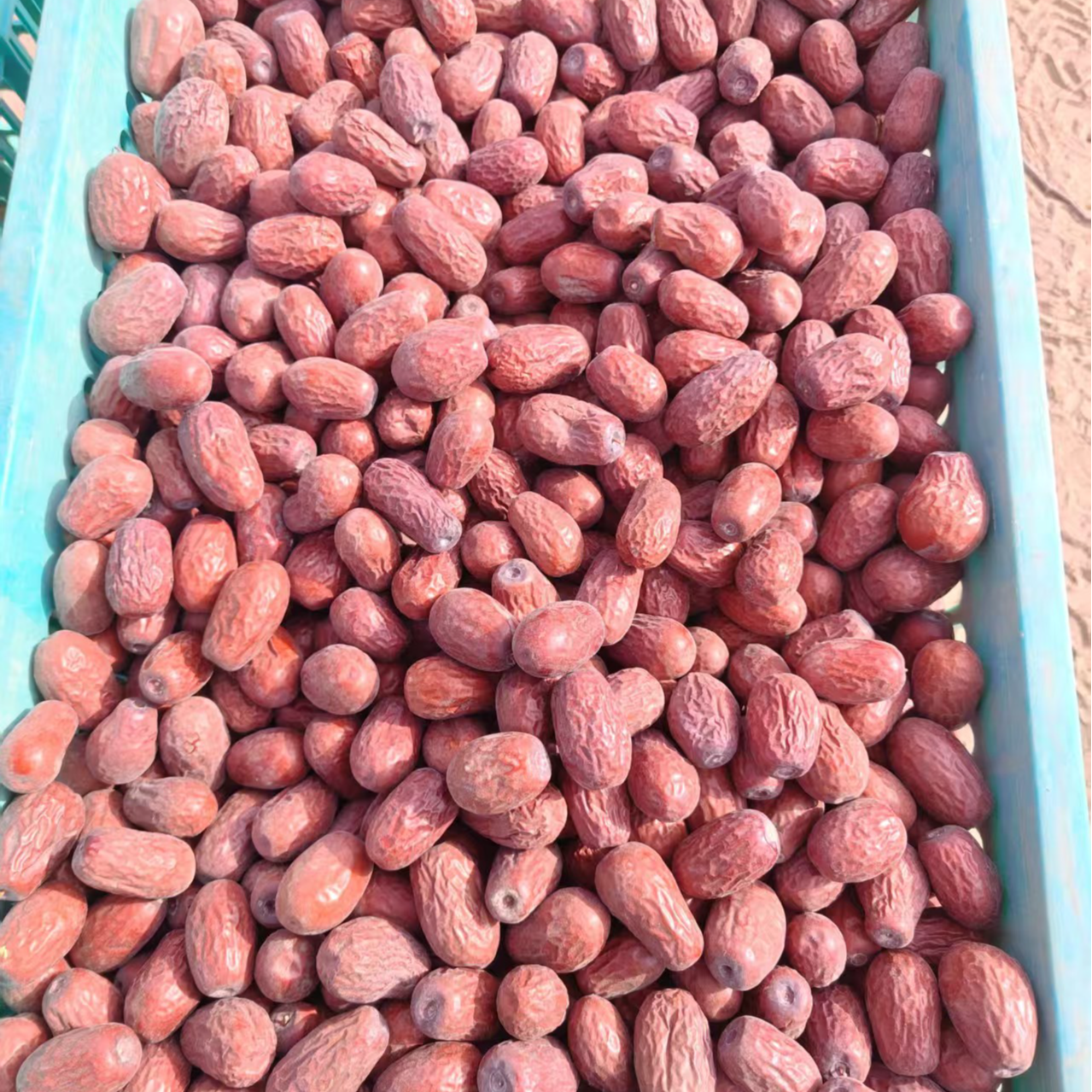 三级2.5-3.2厘米原生态树上吊干原产地直发正宗和田大枣