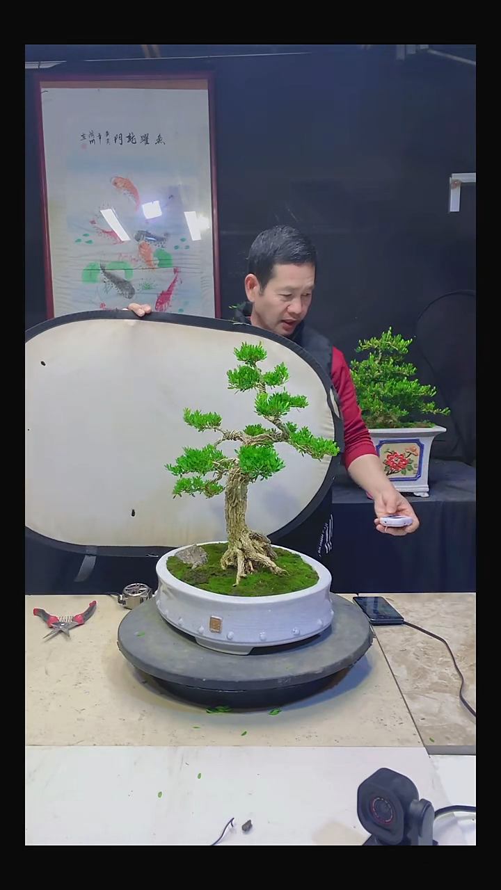 无花朵锐*00000000