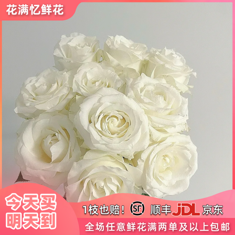 次日达-【白玫瑰】10枝单头玫瑰鲜花批发直播任意两单升级顺丰包邮三单送随机花瓶一个今天拍明天到