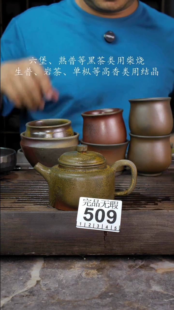 壶四大名陶钦州坭兴陶509
