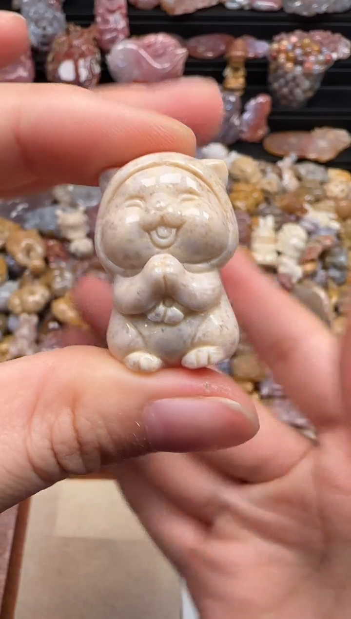 【闪购商品】硅化珊瑚（珊瑚玉）颈饰未镶嵌253