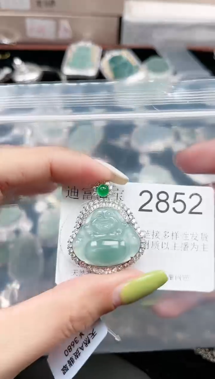 【闪购商品】翡翠颈饰未镶嵌2852赠皮绳
