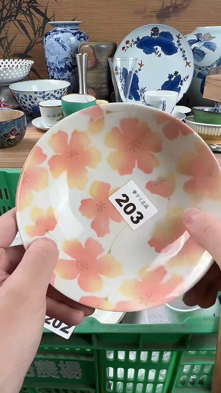 瓷片用*凡瓷片            203