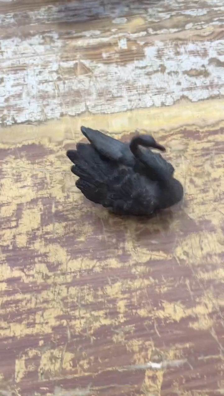 【闪购商品】摆件有仓库清仓随便清