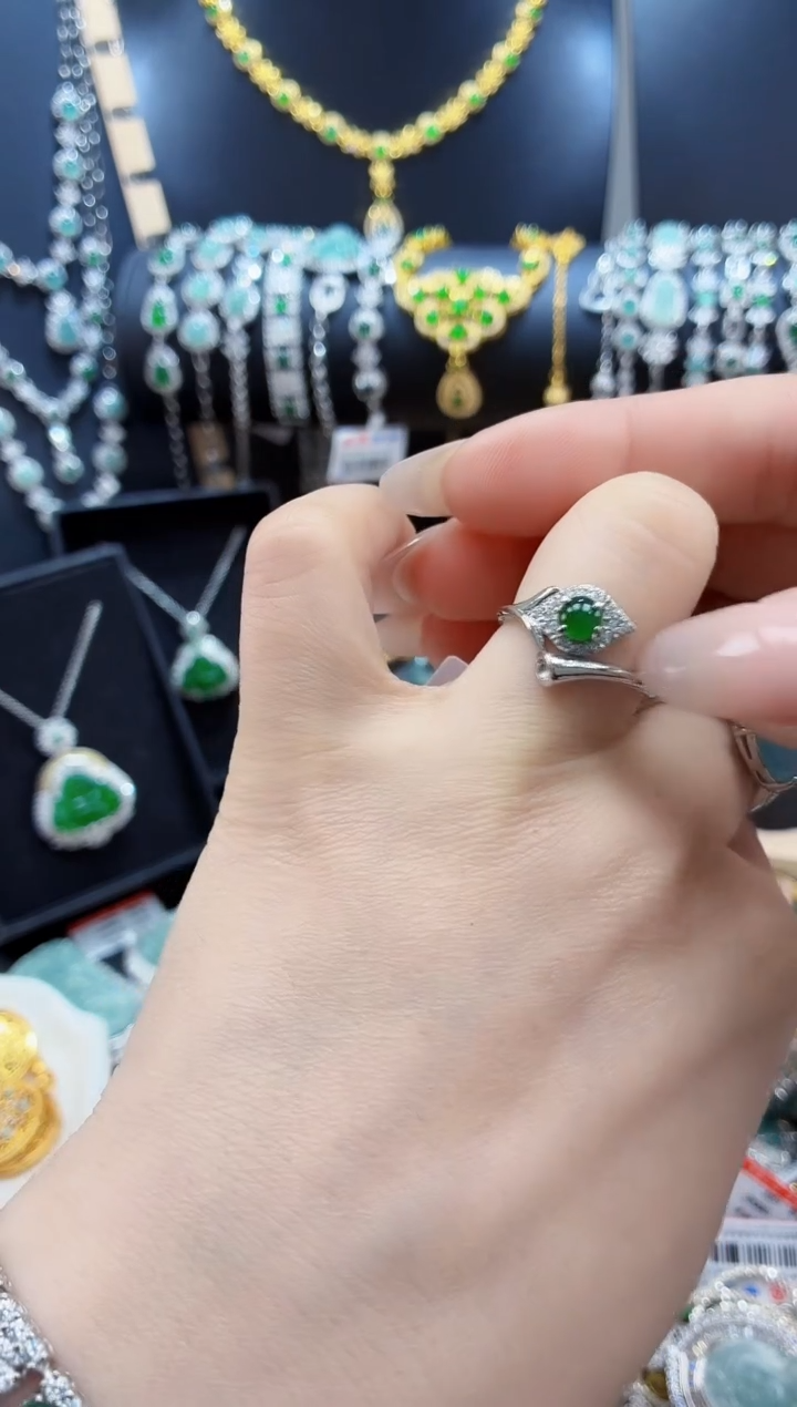 翡翠未镶嵌颈饰天然翡翠a货 多样性发其一