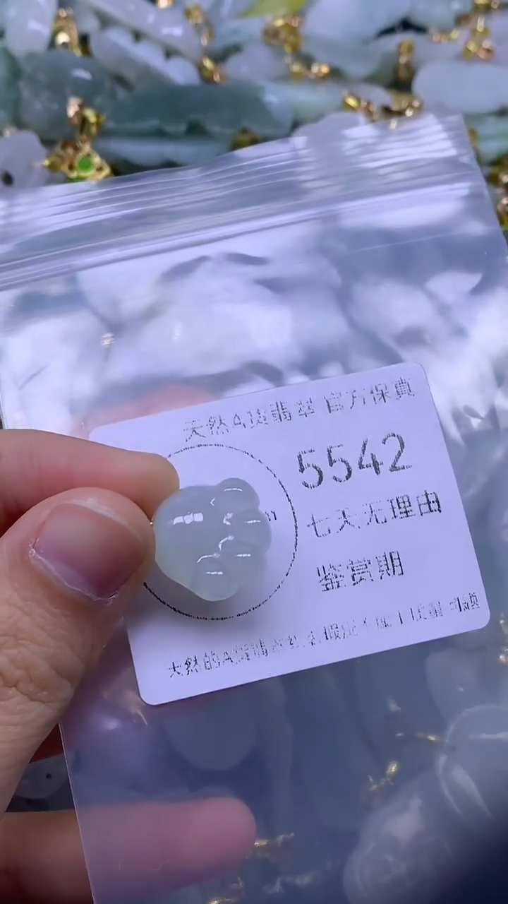 颈饰未镶嵌翡翠1