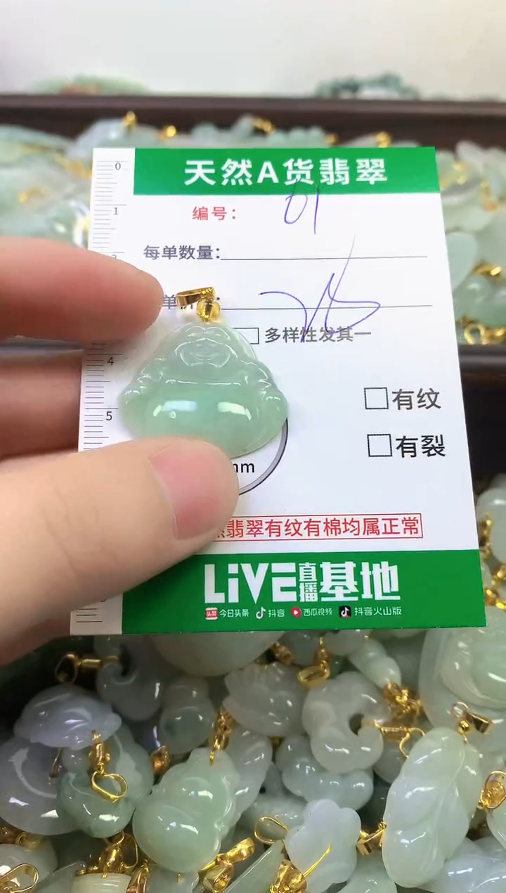 颈饰未镶嵌翡翠纯天然缅甸A货翡翠