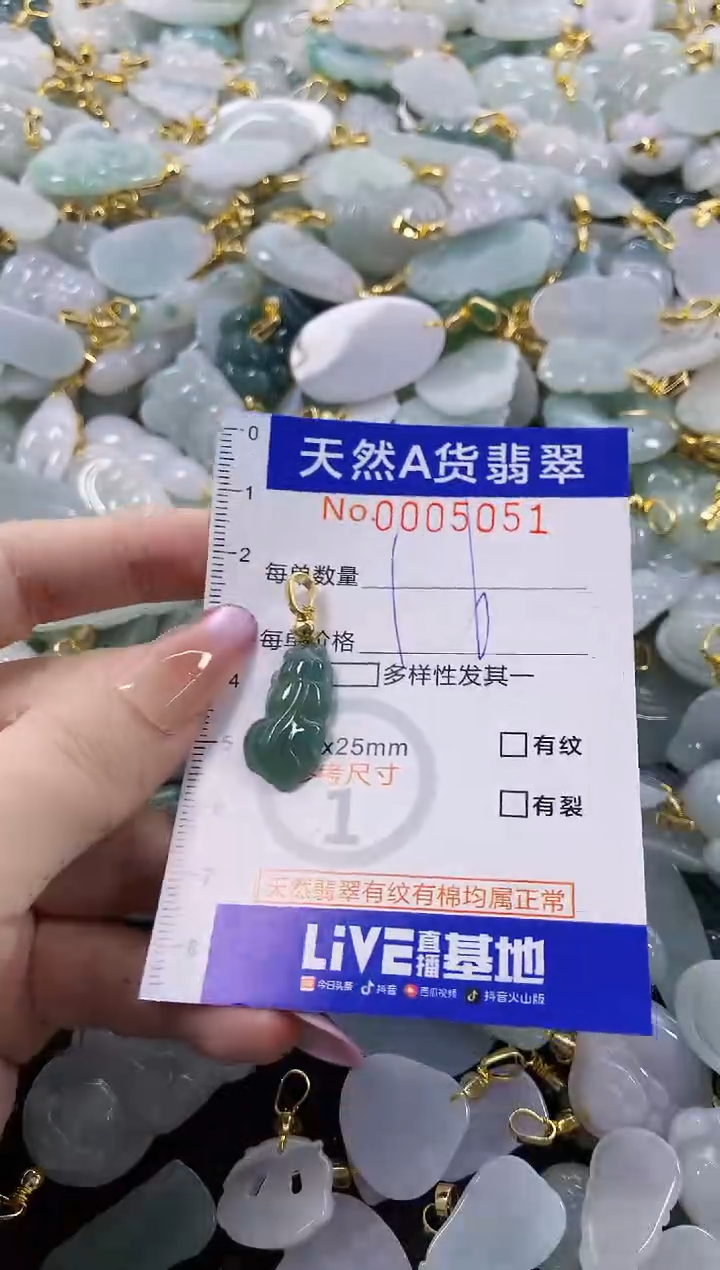 颈饰未镶嵌翡翠天然A货翡翠