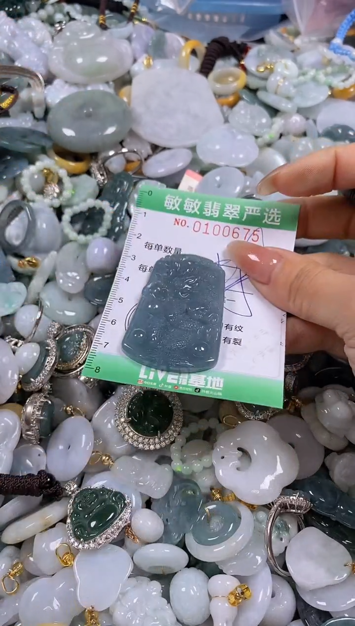 【闪购商品】翡翠颈饰未镶嵌闪购0100676