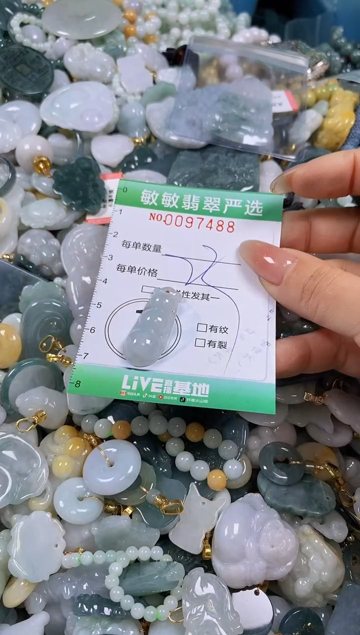 【闪购商品】翡翠颈饰未镶嵌闪购0097488