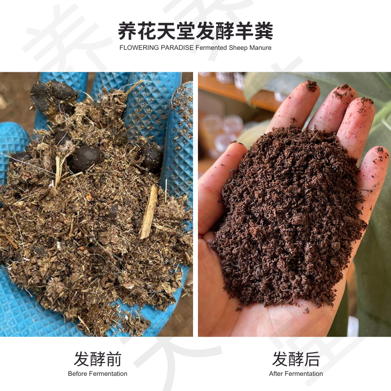 羊粪堆肥高温腐熟无异味养花种菜园艺改土富含腐殖质