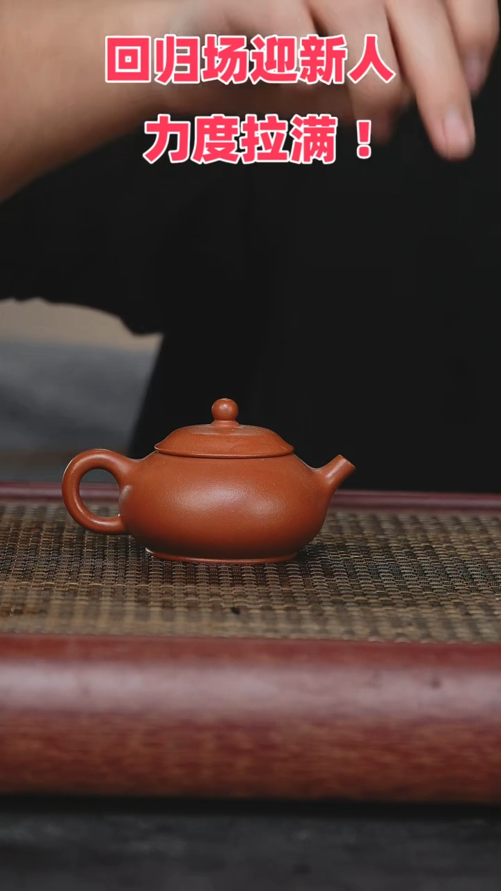 【闪购商品】紫砂茶壶紫砂茶壶