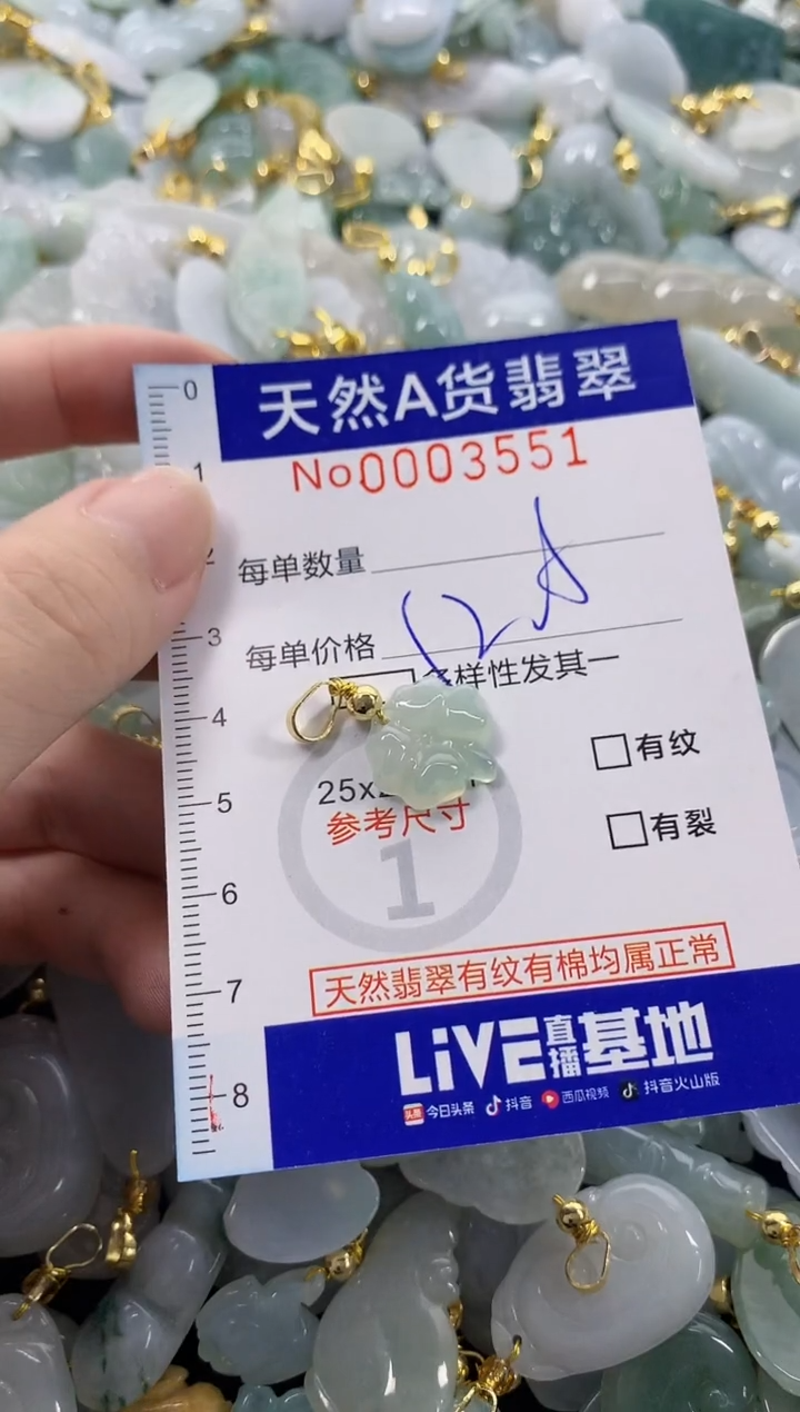 颈饰未镶嵌翡翠天然A货翡翠
