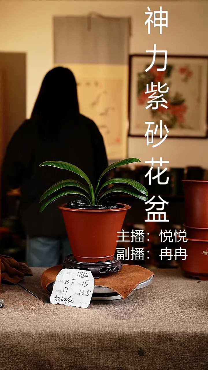 紫砂花盆花卉工艺1184+s